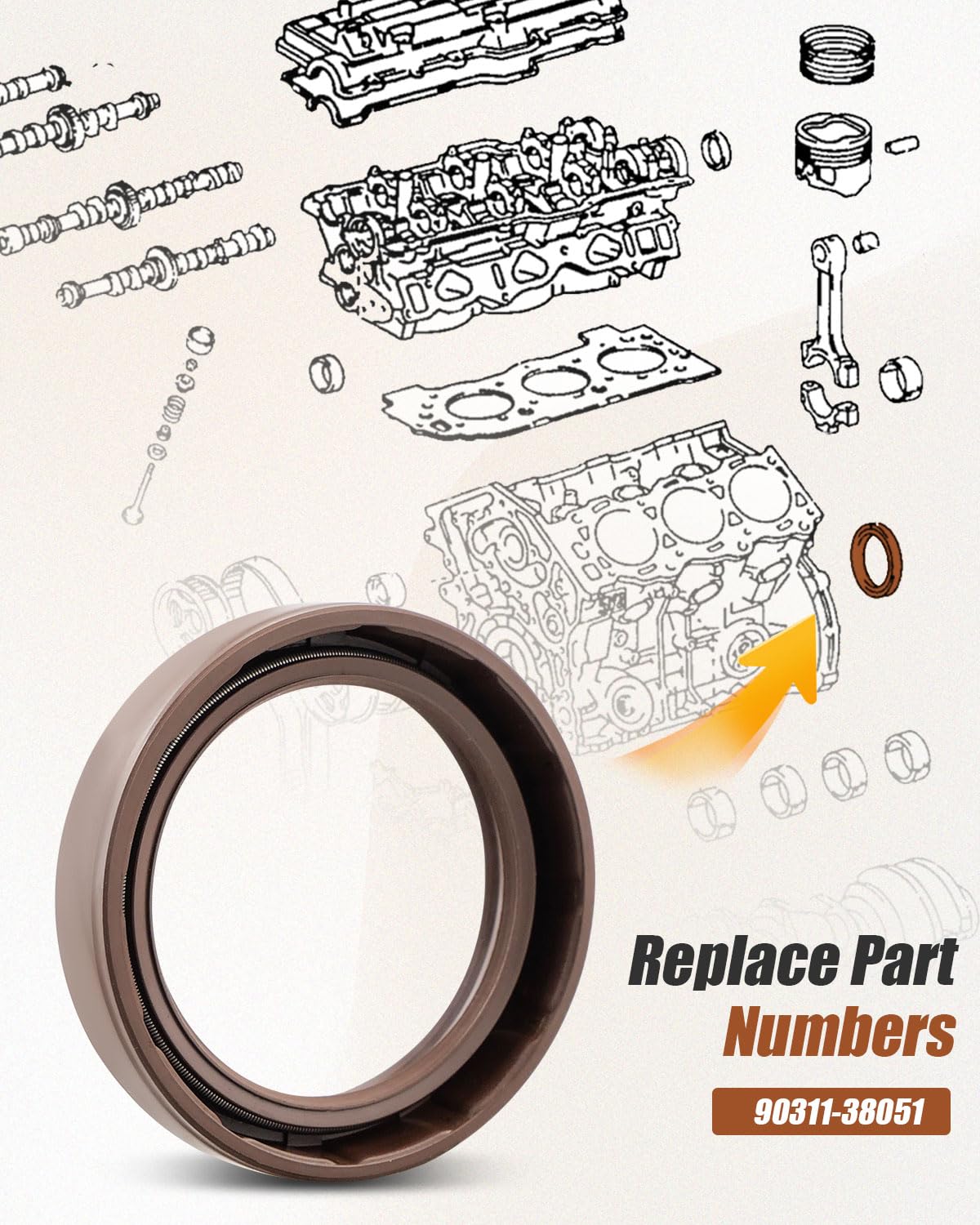 Camshaft Oil Seal Fit for Toyota 4Runner Tacoma Tundra Replace 90311-38051